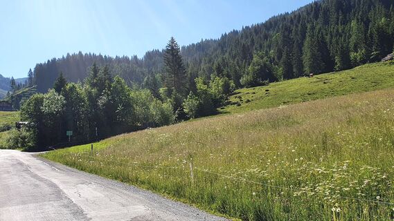 6.1 km 1. Abzweigung zu Karsegg-, Unterwand- und Saukaralm