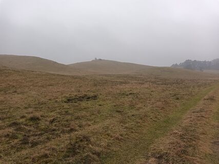 Fotografija s spletne strani Marga na poti