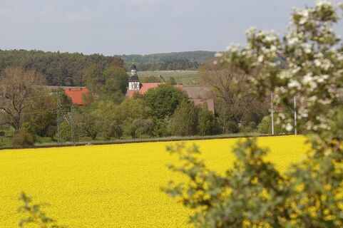 Frühling im Fläming