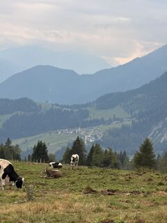 Fotografija s spletne strani Michele Passante na poti