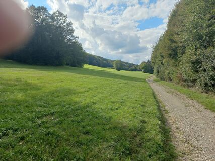 Fotografia z hauwo na trase