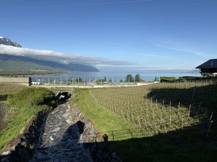 Fotografia z Murielle Dünnenberger na trase