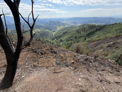 Photo de firebird 93 le long du parcours