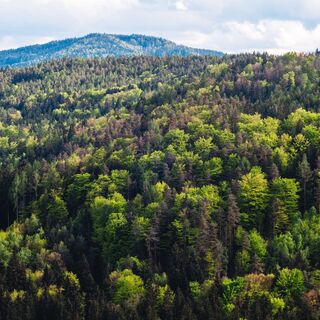 Die St. Pauler Berge