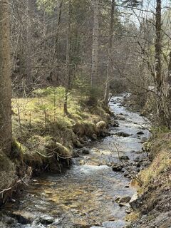 Fotografie z Maria König na trase
