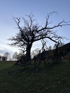 Foto von Georgiamartin0815 entlang der Tour