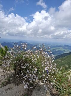 Photo de Brigitte Hartmann le long du parcours