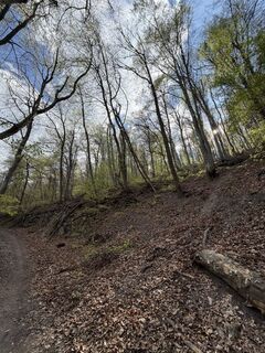 Foto de Márk Lapka a lo largo del recorrido