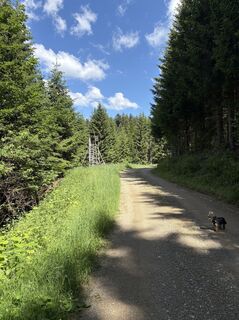Foto von Reinhard Frewein entlang der Tour