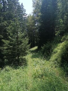 Foto von Turbinio entlang der Tour