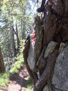 Foto von Heikoala entlang der Tour