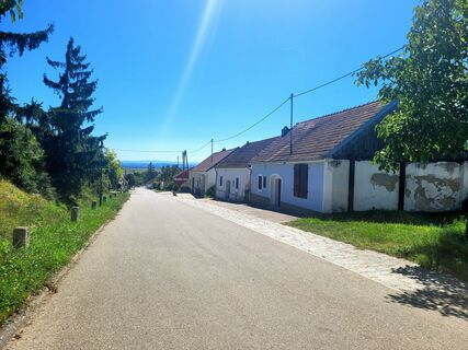 Zdjęcie z mmecki wzdłuż trasy