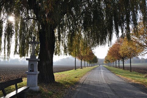 Alexianerallee Siegburg