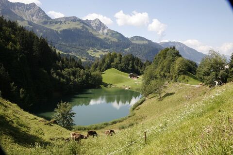 Seewaldsee