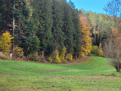 Fotografija s spletne strani Fischermichaela03 na poti