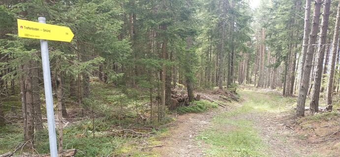 Photo de Markus le long du parcours