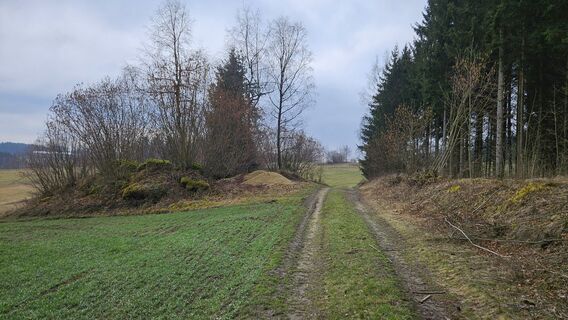 Granitinsel