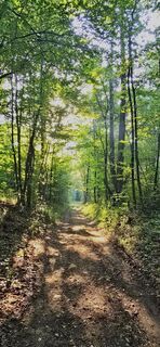 Foto von Markus Ortner entlang der Tour