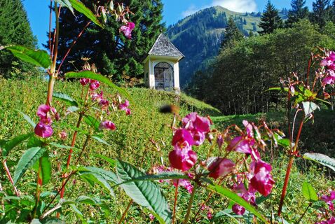 Zeiritzkampel über Achneralm mit Abstieg zum Zeiritztörl