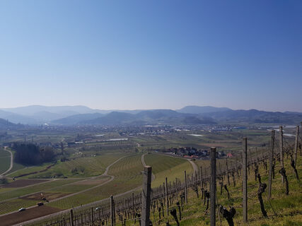 Aussicht in Richtung Fatima Kapelle