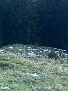 Foto von Sven Krieblin entlang der Tour