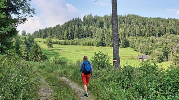 Wir wandern über Wiesenflächen