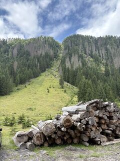 Fotografija s spletne strani MOUNTAINGOAT11 na poti