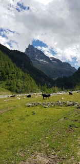 Foto de Anselmo Mazzolini a lo largo del recorrido