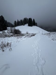 Foto de Susanne a lo largo del recorrido