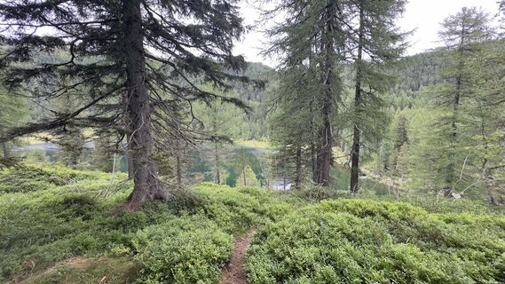 Fotó a Andrea Lanari honlapról a túra során