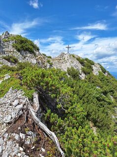 Fotografie z Dagmar Hofer na trase