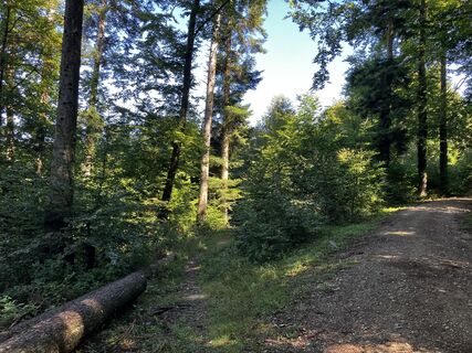 Foto von Martin Würsch entlang der Tour
