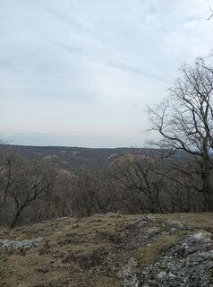 Fotografia z Julika Jármer na trase