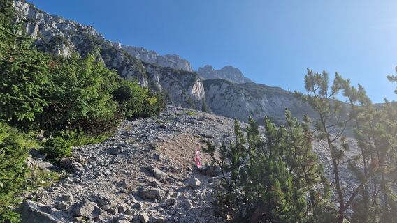 Photo de Kirchstieglerin le long du parcours
