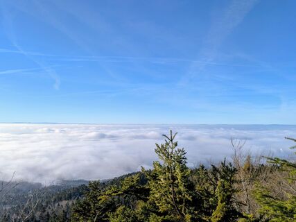 Fotografija s spletne strani Sabrina Hackel na poti