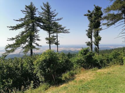 Foto de Varga Tamás a lo largo del recorrido
