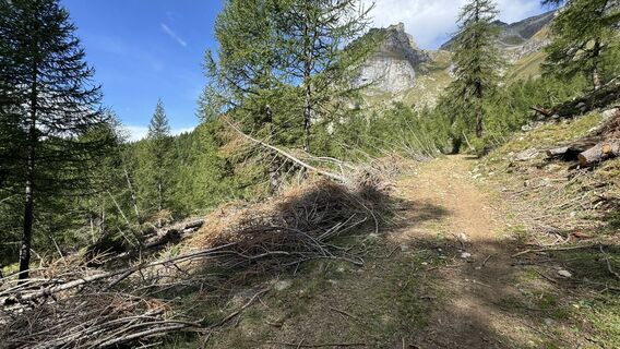 Foto von peter_oe entlang der Tour