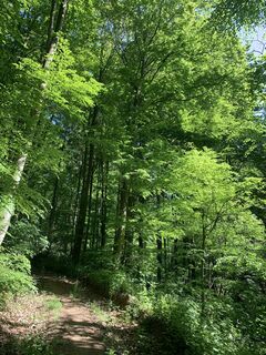 Photo de Karl 6String le long du parcours