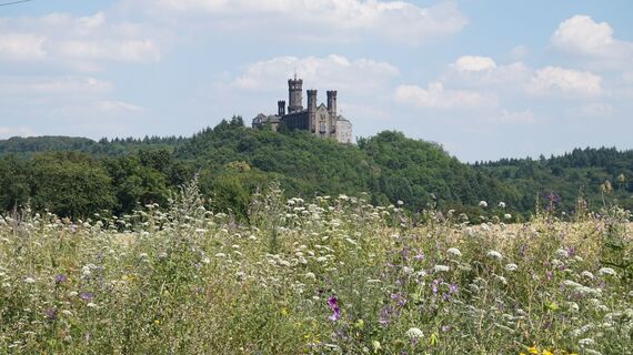 Blick auf die Schaumburg