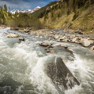 Bach im Calfeisental