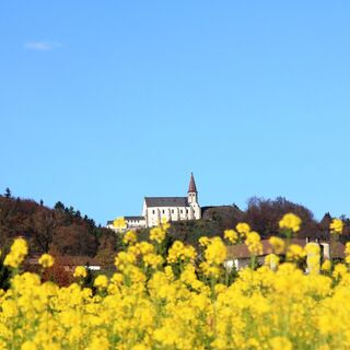 Wallfahrtskirche