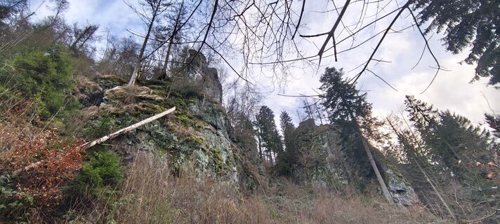 Fotografia z Jan 2505 na trase