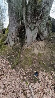Foto von Jean-Pierre Sion entlang der Tour