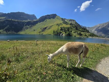 Fotografija s spletne strani Simon Kuhnle na poti