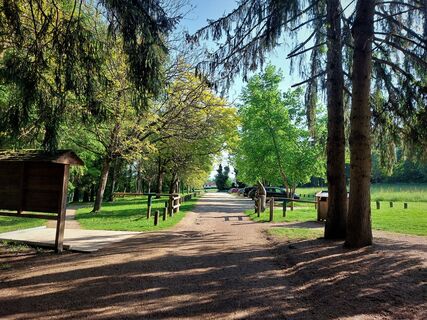 Wald von Rothonne in Belley
