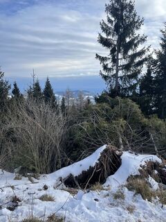 Foto de Gerhard Hausbauer a lo largo del recorrido