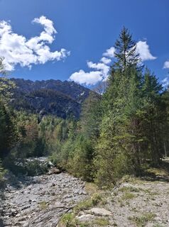 Photo de angelika kaiser 2 le long du parcours