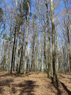 Fotografija s spletne strani Harald Köbler na poti
