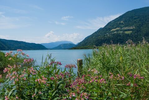 Ossiacher See