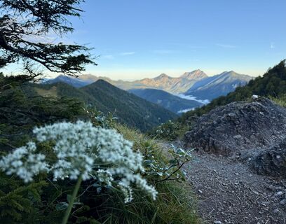 Fotografija s spletne strani Natur_erleben_dg na poti